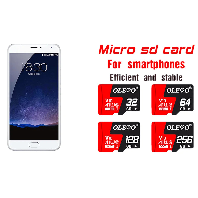 Class10 Memory Card 256GB 128GB 64GB 32GB 16GB Micro V10 sd card flash card 8GB 4GB Memory TF/SD Card for Mobile Phone