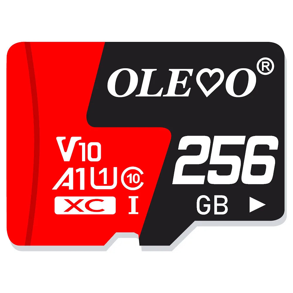 Class10 Memory Card 256GB 128GB 64GB 32GB 16GB Micro V10 sd card flash card 8GB 4GB Memory TF/SD Card for Mobile Phone