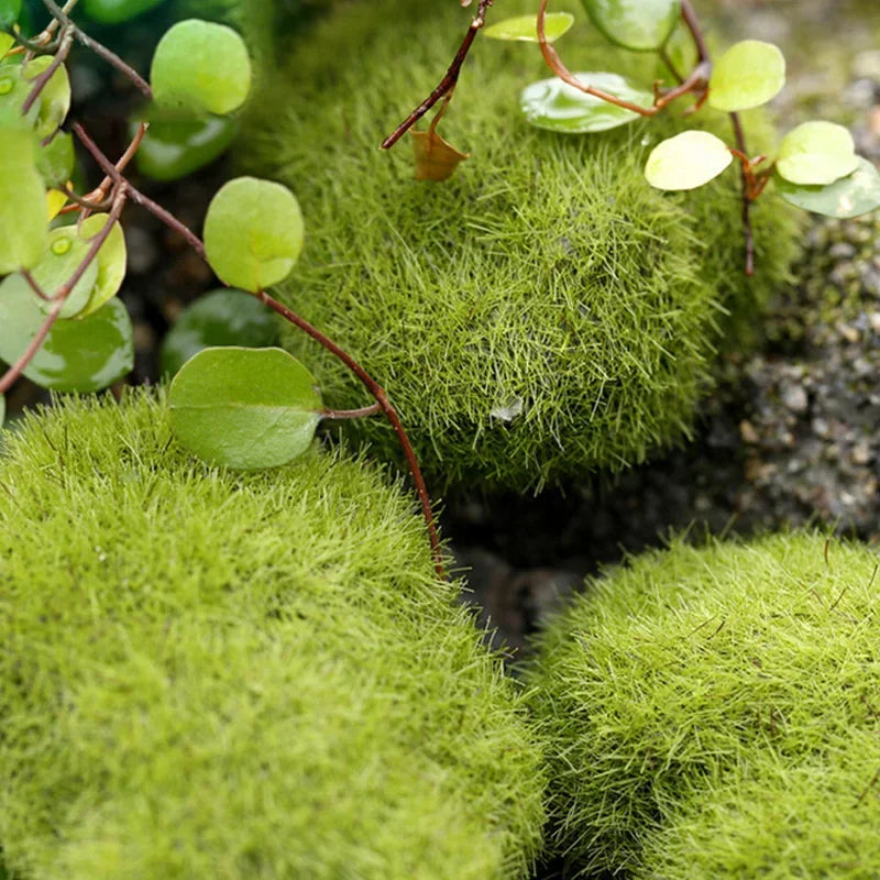 4 Size Artificial Foam Green Moss Plants Micro Landscape Grass Stone Figure Miniature Simulation Fairy Garden Decoration Accesso