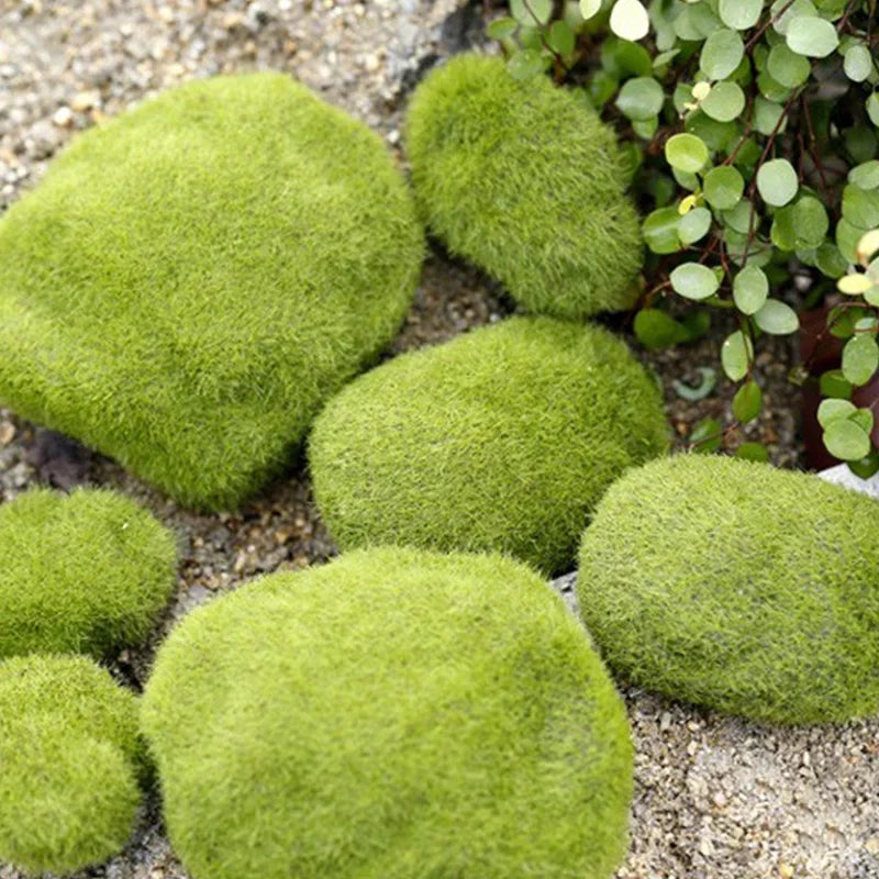 4 Size Artificial Foam Green Moss Plants Micro Landscape Grass Stone Figure Miniature Simulation Fairy Garden Decoration Accesso